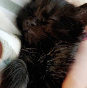 Meet your Posher, Bethany